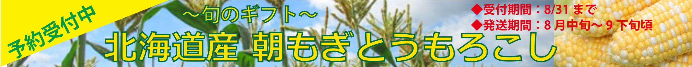 とうもろこしバナー
