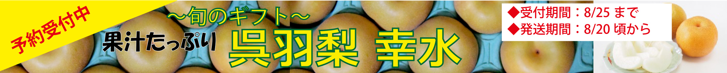 キャンペーン